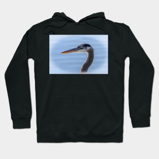 Great Blue Heron Portrait Hoodie